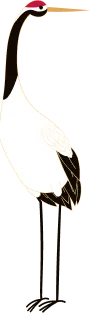 B1 (1)