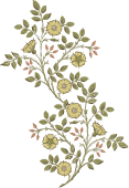 Group