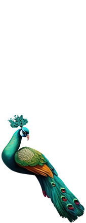 Nature2-Peacock1-1