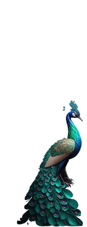 Nature2-Peacock11