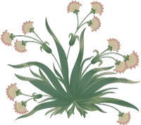 template-8 (9)
