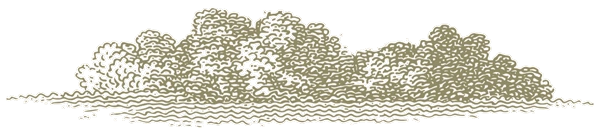 template17-6